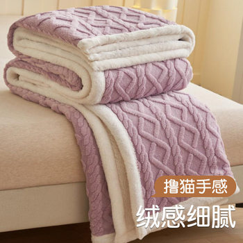 Autumn and Winter New Taffeta Cross-Border Blanket Nap Blanket Sofa Blanket Office Coral Velvet Autumn and Winter Small Blanket