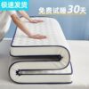 Mattress Bottom Cushion Household Thick Dormitory Student Single Tatami Mat Sponge Mattress Rental Delivery