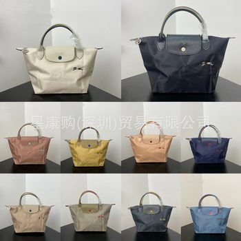 Guangdong-Made French Longxiang 70Th Anniversary Embroidered Nylon Dumpling Bag Short Handle Small Handbag Large Capacity Tote Women's Bag