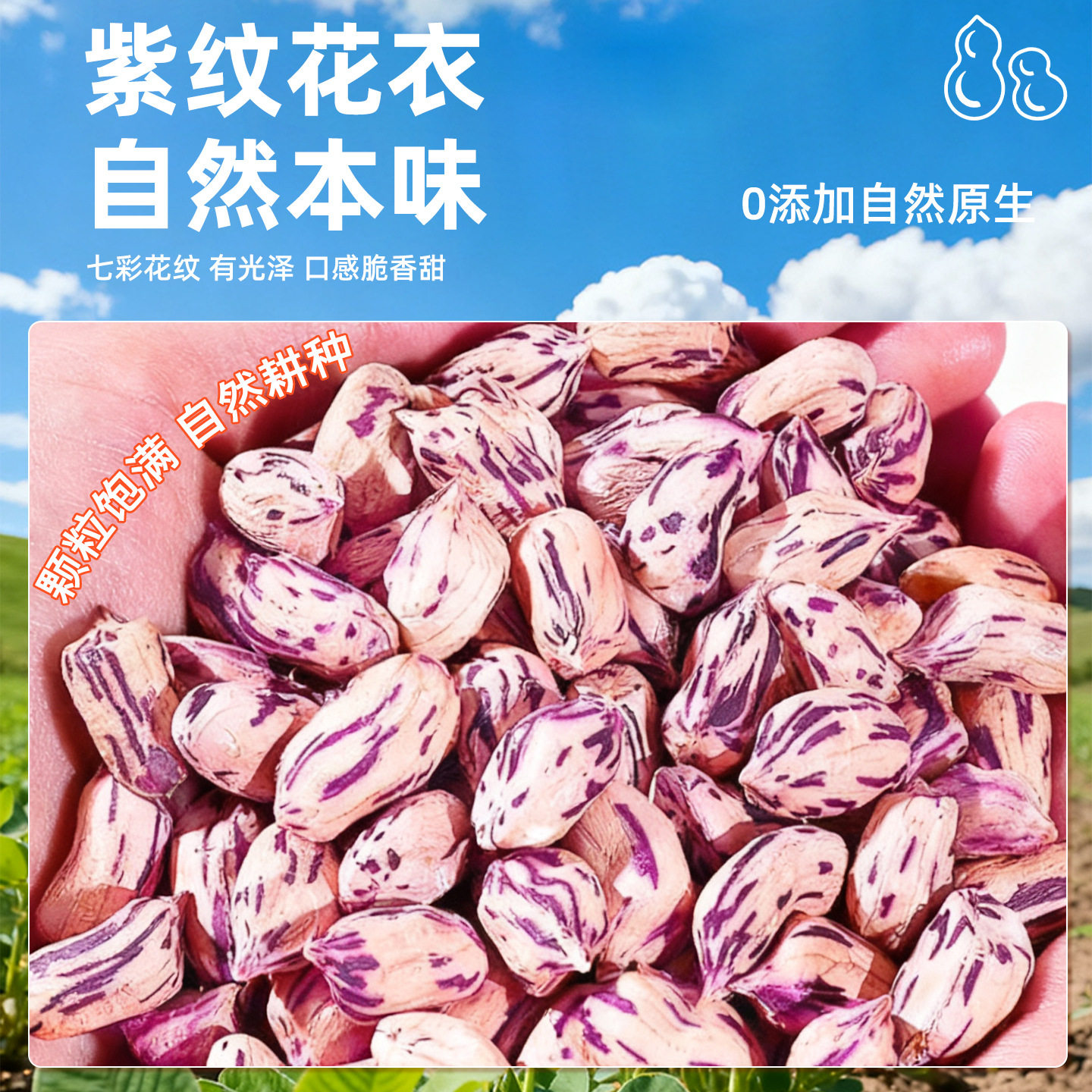 Yunnan Colorful Peanuts 2025 New Arrival Sun-Dried Original Flavor Shelled Raw Peanuts Snack Nuts Wholesale for the New Year