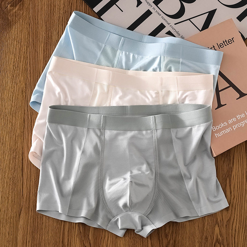 Men's Ice Silk Underwear Breathable Comfortable Mesh Boxer Shorts Boys Shorts Summer Thin Youth Shorts New Arrival