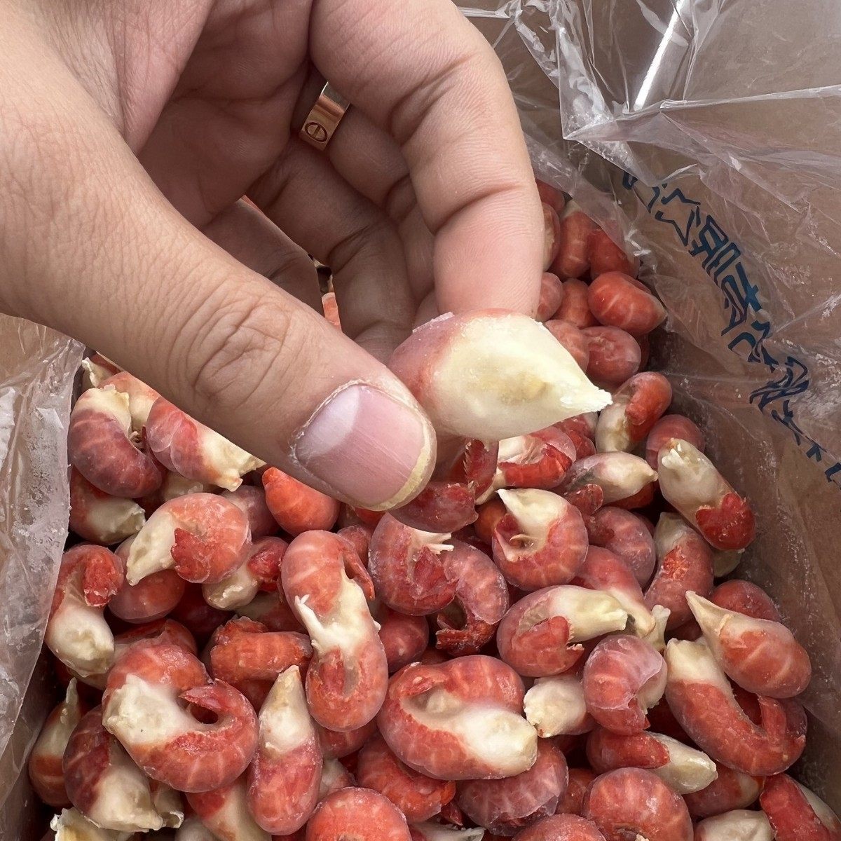 Fresh Frozen Crayfish Tails Without Ice, Large Spicy Whole Box for Catering and Wholesale Shrimp Balls