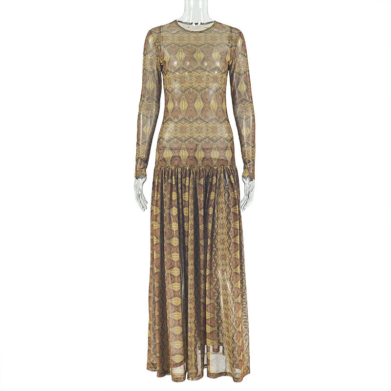 Vintage A Line Dress Breathable Mesh Floral Print Long Sleeve Slim Fit Casual Wear for Spring and Summer