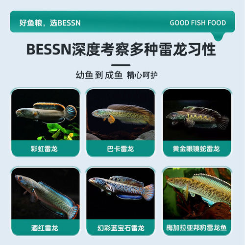 贝森BESSN雷龙鱼饲料黄金眼镜蛇雷龙七彩雷龙鱼增色鱼粮专用鱼食 - 图1
