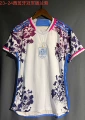 2023-2024 Spain Champions Blue Purple