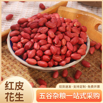 Manufacturer Wholesale Fresh Oil Peanuts Shelled Peanuts Northeast Red Skin Four Red Raw Red Peanuts 25kg