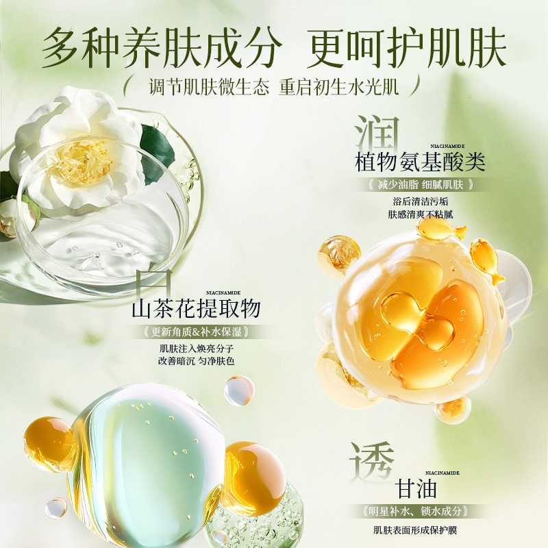 [Postage] Camellia Amino Acid Shampoo Shower Gel Fragrance Lasting Wash and Protect suit Source Producers