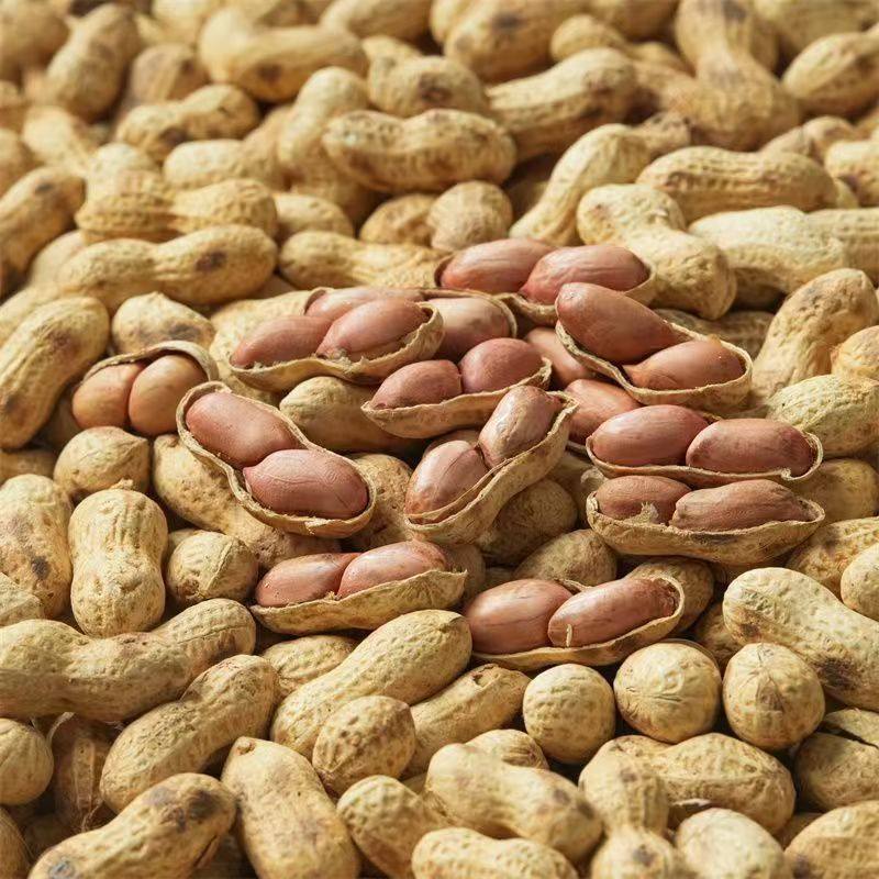 Wholesale of Firewood Peanuts, Rural Large Iron Pot Firewood Fried Peanuts, Shelled Fried Nuts, Snacks, Fried Peanuts