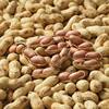 Wholesale of Firewood Peanuts, Rural Large Iron Pot Firewood Fried Peanuts, Shelled Fried Nuts, Snacks, Fried Peanuts