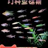 Zebrafish Traffic Light Fish Tropical Freshwater Live Ornamental Angel Pet Small Treasure Lotus Lantern Peacock Group Swimming Fish