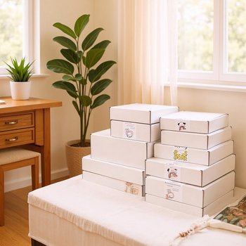 White Airplane Box Corrugated Plus Cardboard Box Ready-Made Blank Express Box Clothing Packaging Packaging Box