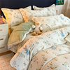 Winter Cartoon Milk Velvet Bed Four-Piece Set Thickeneded Coral Flannel Quilt Cover Double-Sided Velvet Bed Bed Sheets Three-Piece Set