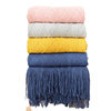 Big Sale Cross-Border High-End Blanket Office Lunch Break Blanket Tassel Blanket Autumn and Winter Light Luxury Plush Sofa Thread Blanket