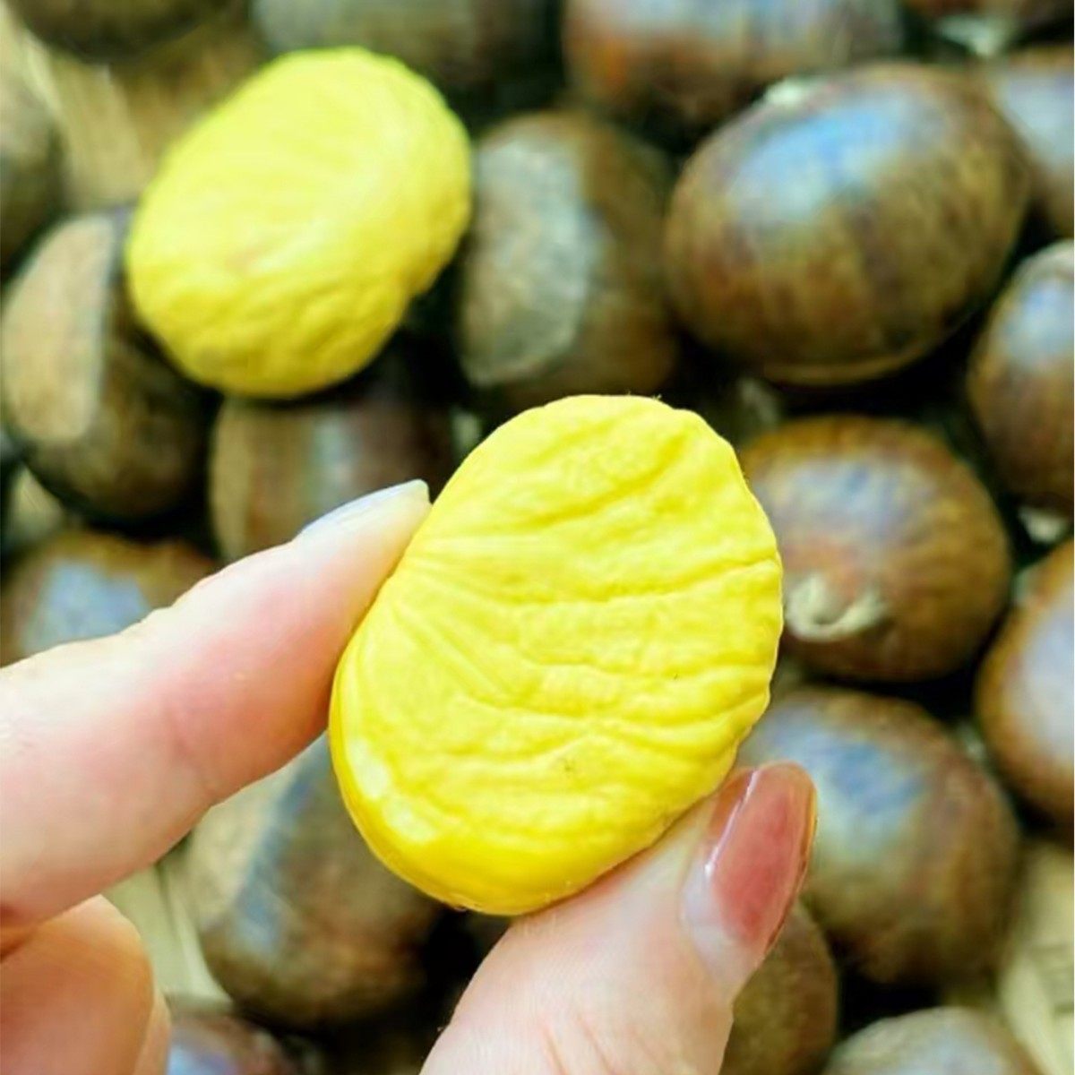 Fresh Chestnuts from Yimeng Mountain, Yellow-Fleshed Oil Chestnuts, New Arrivals in 2025, Seasonal Wild Chestnuts from Deep Mountains for Pregnant Women