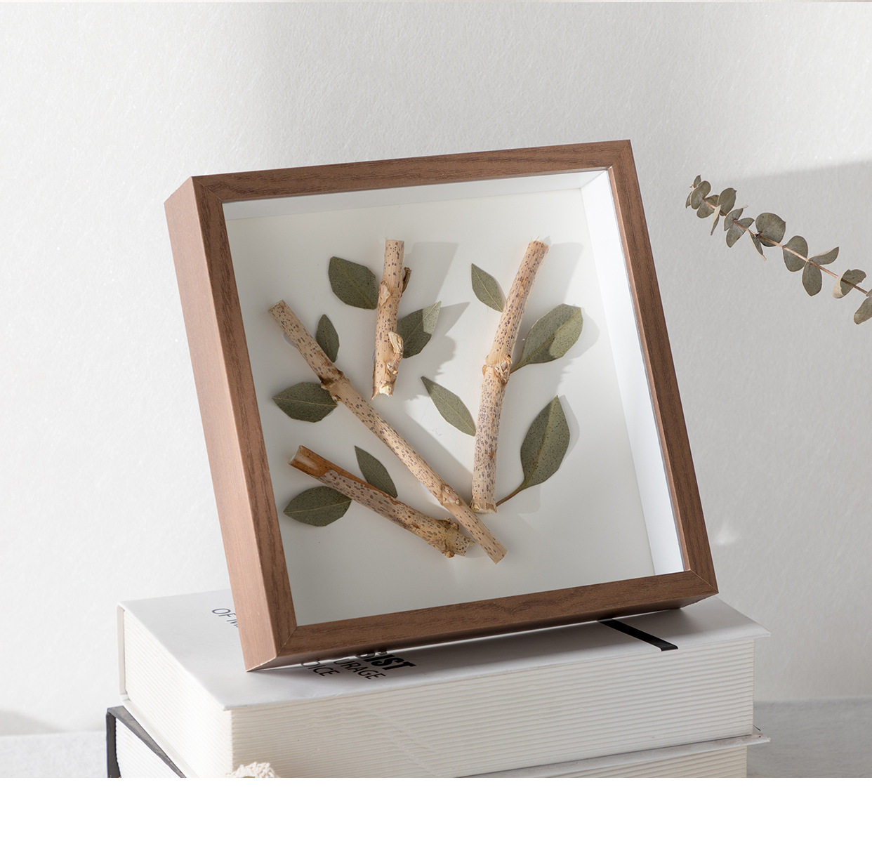 Glass specimen frame hollow three-dimensional photo frame DIY creative dried flower plant picture frame in stock wholesale 678-inch A4 photo frame