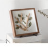 Glass specimen frame hollow three-dimensional photo frame DIY creative dried flower plant picture frame in stock wholesale 678-inch A4 photo frame