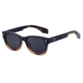 C6 polarized with black upper and lower bean curd, black outside and bean flower holder inside gold gradient gray