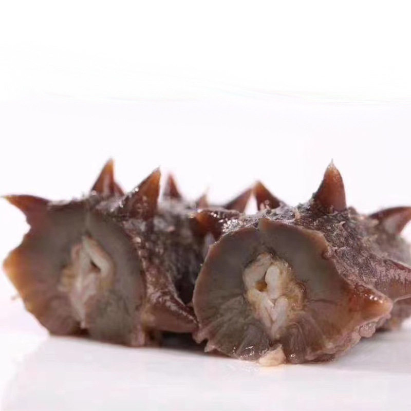 Immediately Ready-To-Eat Sea Cucumber and Sea Cucumber 500g Dalian Manufacturer Liaoginseng Fresh and Permeated Dry Goods Dalian Sea Cucumber Single Taste Pack