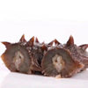 Immediately Ready-To-Eat Sea Cucumber and Sea Cucumber 500g Dalian Manufacturer Liaoginseng Fresh and Permeated Dry Goods Dalian Sea Cucumber Single Taste Pack