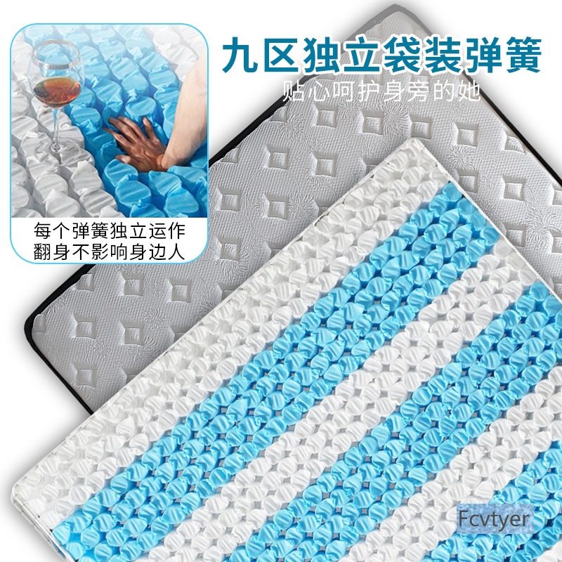 Yixinglin Home Rental Wholesale Factory Guangzhou Independent Spring Mattress B&B Simmons Latex Hard Coconut Palm Wine