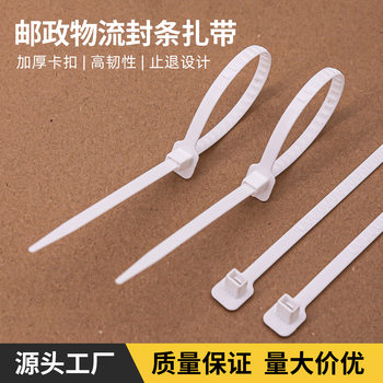 High-Quality Postal Disposable Cable Ties, Logistics Seals, Cable Ties, Express Cable Ties, Bundling Straps, Spot Wholesale