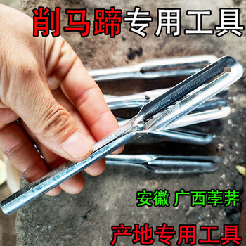 Multifunctional Fruit Peeler for Peeling Water Chestnuts, a Tool for Peeling Water Chestnuts and Fruits