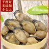 Lightly Sun-Dried Large Oysters, Dried Oysters Without Oil, Fresh Sand-Free Dried Oysters, Dried Oysters, Special Grade Golden Dried Oysters