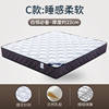 Simmons Spring Mattress 20cm Thick Household Latex Coconut Rental Room 1.8 m 1.5 Double Soft and Hard Mattress