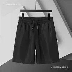 Cross-Border Authentic Beach Shorts Summer Thin Ice Silk Shorts Men's Loose Casual Five-Point Shorts Men's Quick-Dry Pants