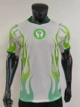 26 nigeria away player version