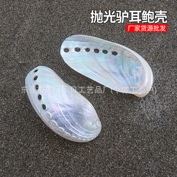 Donkey Ear Abalone Shell Natural Conch Abalone Shell Polished New Zealand Shell Photo Props Fish Tank Landscape Decoration Wholesale
