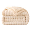 Coral Flannel Milk Velvet Blanket Thickeneded Winter 2025 New Blanket Office Nap Sofa Small Blanket