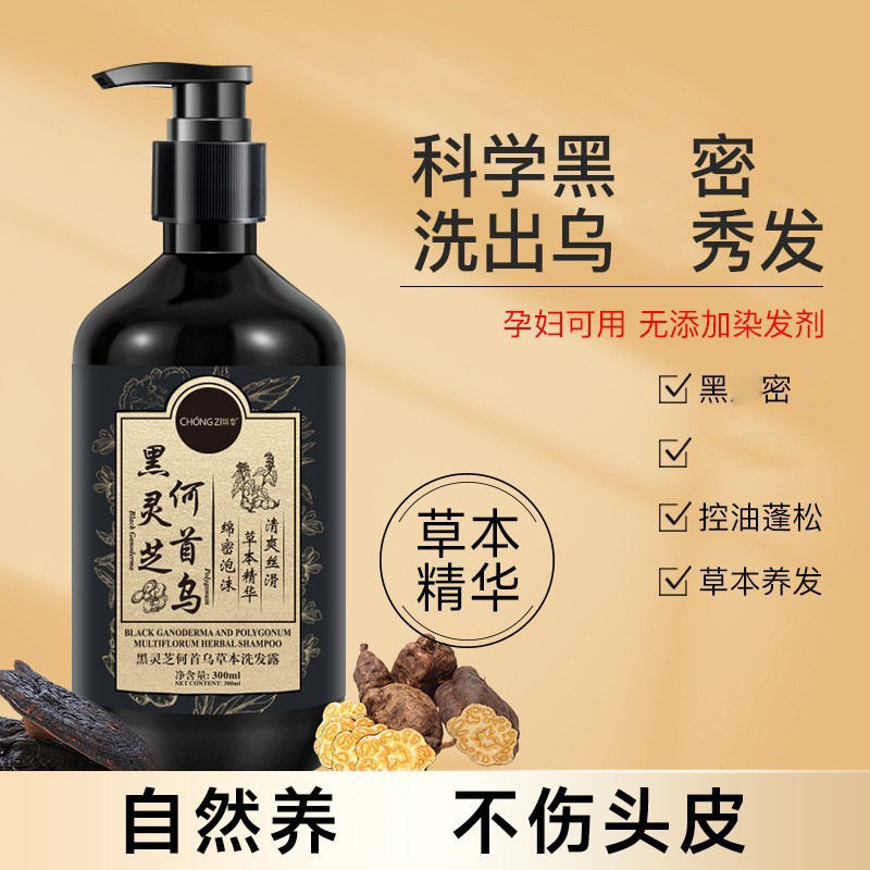 Chongzi Black Ganoderma and Polygonum Multiflorum Shampoo Herbal Black Hair Repair Anti-Hair Loss Nourishing Hair and Scalp