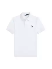 European Size Export Correct Version Embroidered Pure Cotton Polo Shirt Summer Men's Short-Sleeved T-Shirt Breathable Casual Business Style