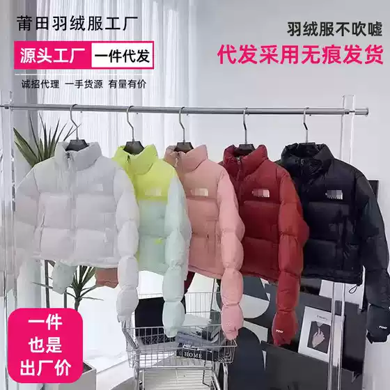 Putian High Version Beijia Short Down Jacket 1984 US Version Bright Surface Waterproof Winter New Ken Dou Wholesale