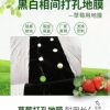 Pe Agricultural Perforated Mulch Film, Strawberry Special Silver Black Film, Black and White Longevity Insulation and Moisturizing Plastic Film