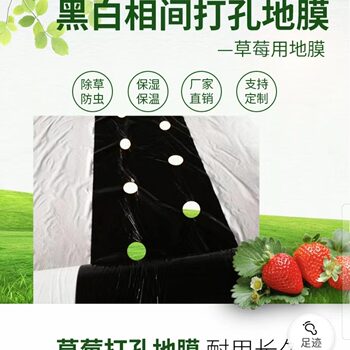 Pe Agricultural Perforated Mulch Film, Strawberry Special Silver Black Film, Black and White Longevity Insulation and Moisturizing Plastic Film