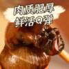 Spicy and Flavorful Snails with Sauce, Nostalgic Childhood Snacks, Spicy Meat Snails Ready to Eat