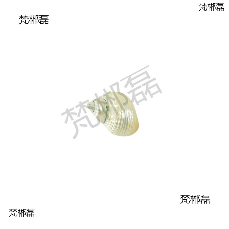 Natural Conch Shells, Peeled and Polished White Snails, Hermit Crab Replacement Shells, Hand-Painted Conch White-Skinned Luminous Snails