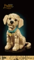 Golden retriever puppy