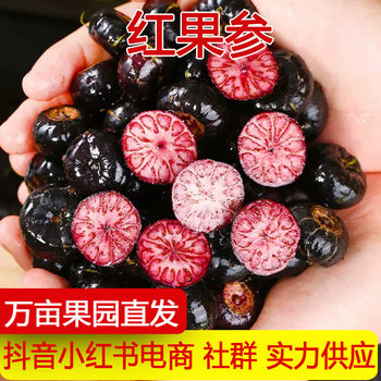 Yunnan Red Ginseng Fresh Fruit Seasonal Rare Fruit Fresh Red Ginseng Fruit Spider Fruit Rare Ginseng Fruit