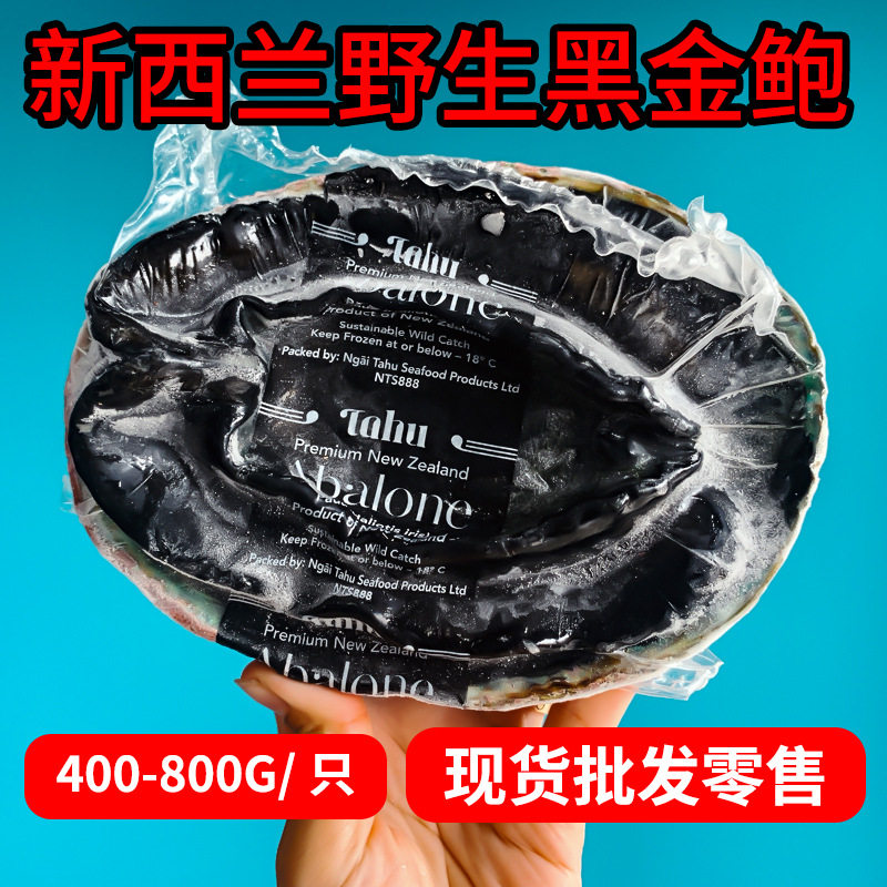 Spot New Zealand Black Gold Abalone Single Frozen Abalone Sashimi Abalone Meat Seafood Japanese Ingredients Specifications Wholesale Frozen Black Gold Abalone