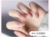 66# Порошок ледяного корня лотоса