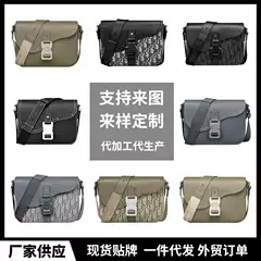 Dior Crossbody Bag Saddle