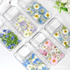 New Blue Swallow Daisy Transparent Glue Phone Case for Apple Suitable for Iphone7/17Pm Dried Flower Phone Case