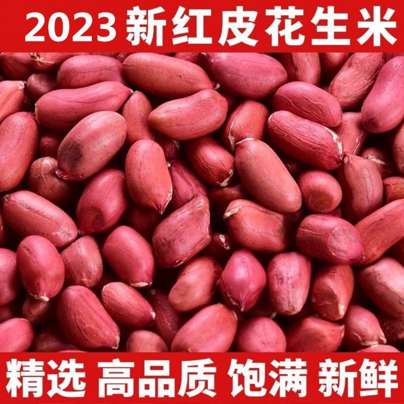 Freshly Produced Raw Peanuts, Wholesale Manufacturer of Small Raw Peanuts, New Red-Skinned Peanuts, 2025m New Rice-Delivered Peanuts