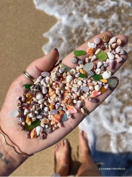 Natural Real Shell Conch Mini Shell Decoration Handmade DIY Shell Photo Frame Storage Box Fish Tank Landscaping