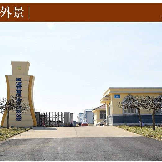 Factory Processing of Coconut Cashew Nut Series with Various Flavors. Factory Has Been Looking for Strong Dealers and Wholesalers for More Than 20 Years