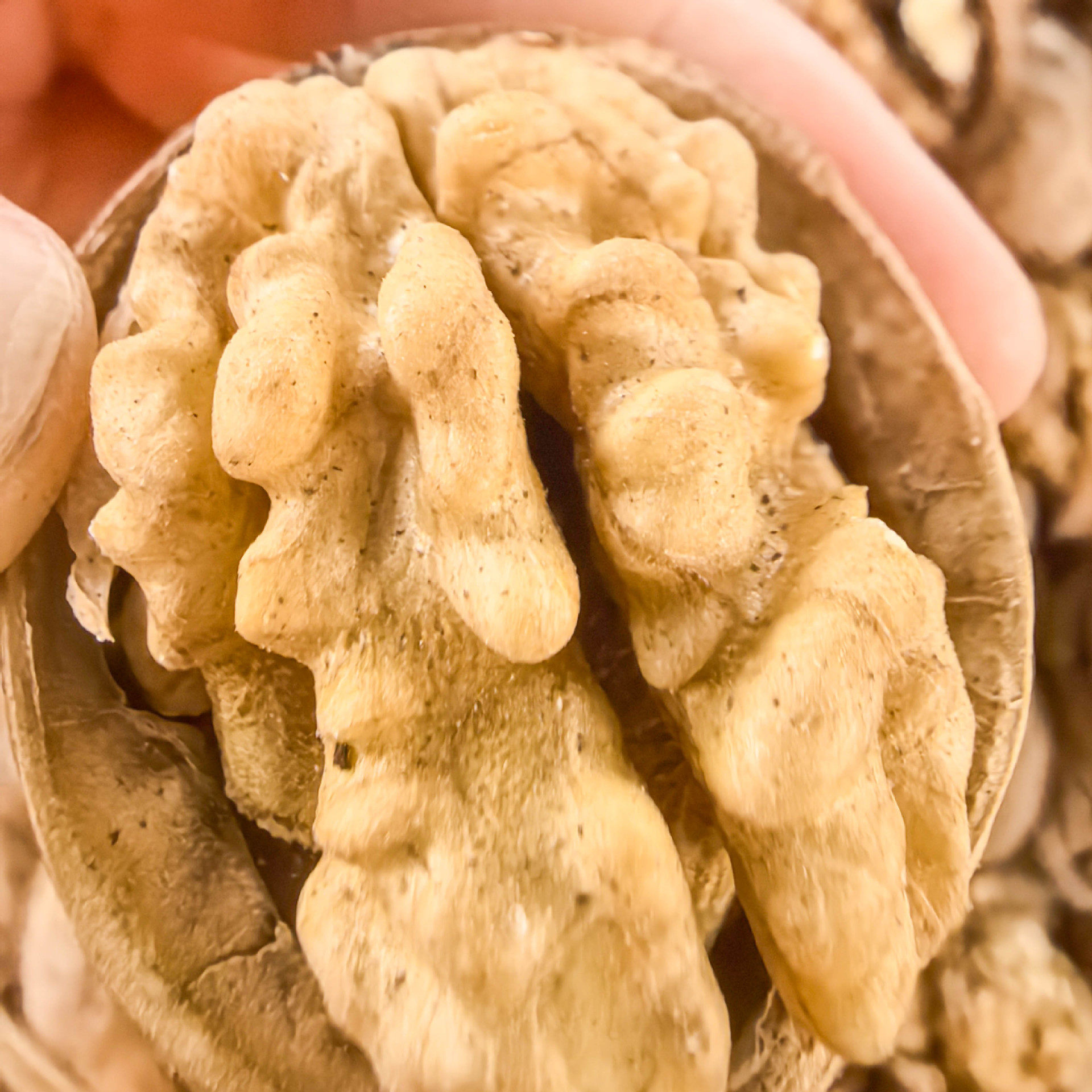 Xinjiang Aksu 2025 New Arrival, Natural Color, Uncleaned, 185 Paper-Thin Walnut Shells, 2.5kg Pieces, Affordable, Free Shipping