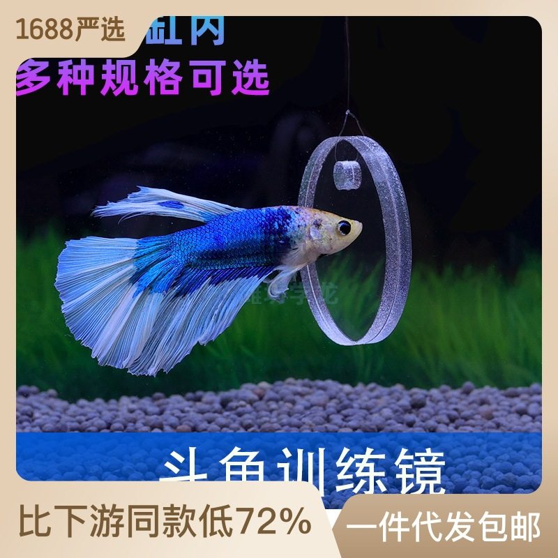 Acrylic fighting fish training mirror Lei Long Luo Han arch gills floating ball double-sided mirror suction cup fish tank outside the fish mirror